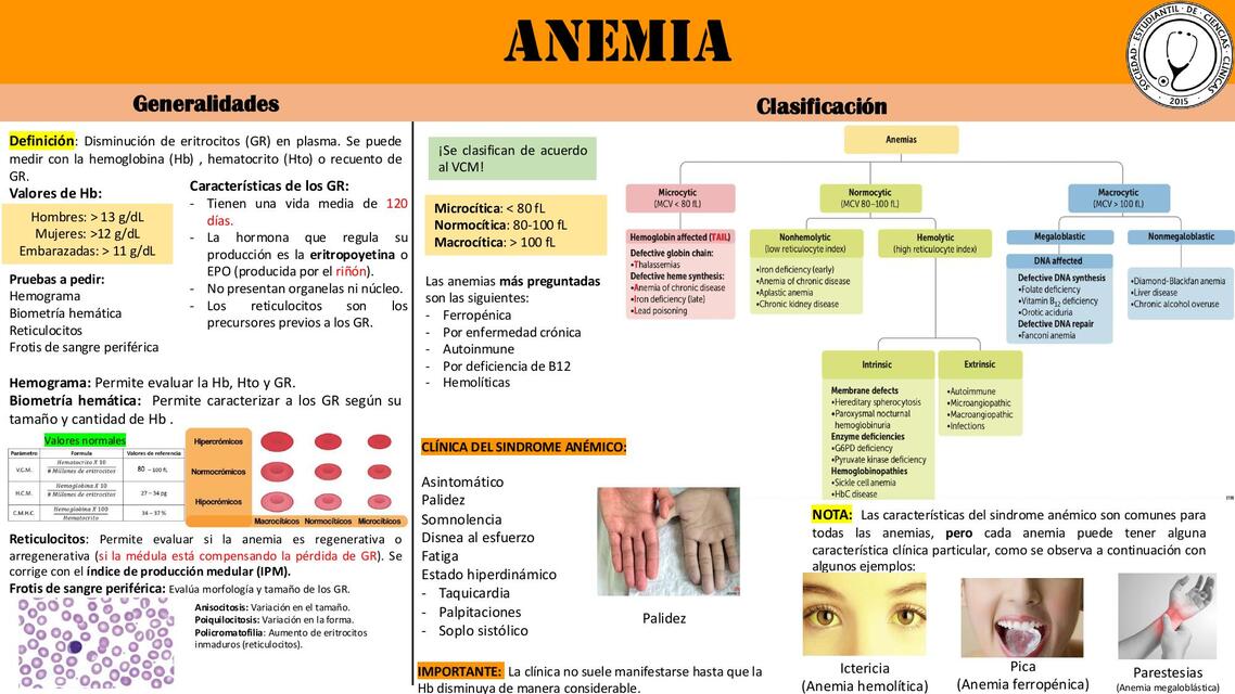 Anemia - Resumen