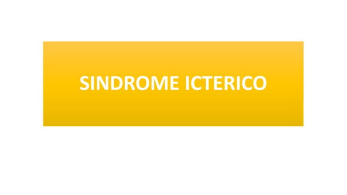 sindrome icterico