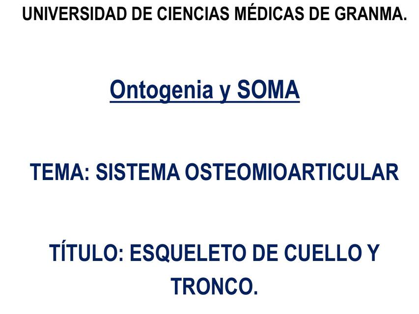 Esqueleto de cuello y tronco