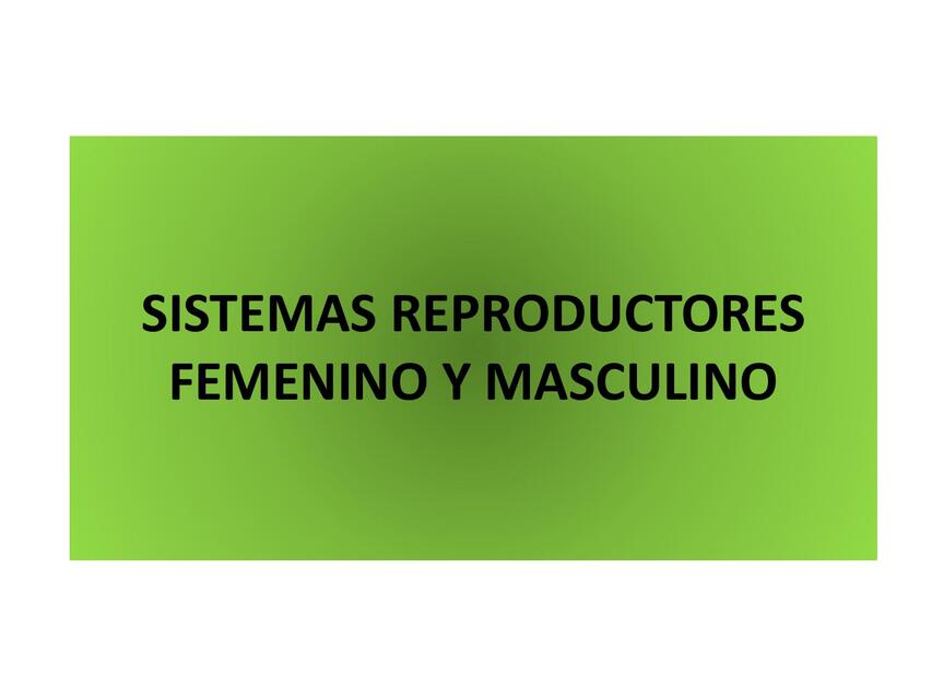 Sistemas Reproductivos Masculino y Femenino