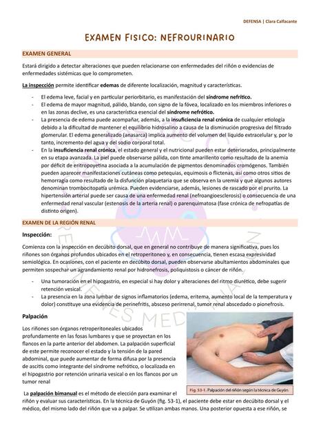 Semiología: Sistema Nefrourinario- EXAMEN FÍSICO