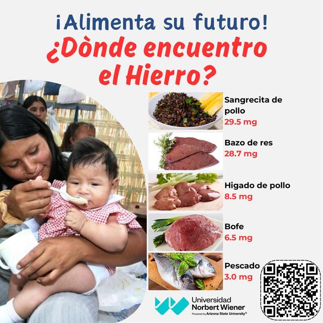 En que alimentos encuentro el hierro