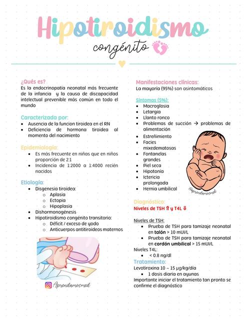 Hipotiroidismo Congénito Notas De Medicina Udocz