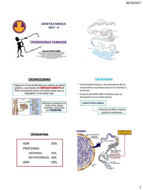 4 Cromosomas