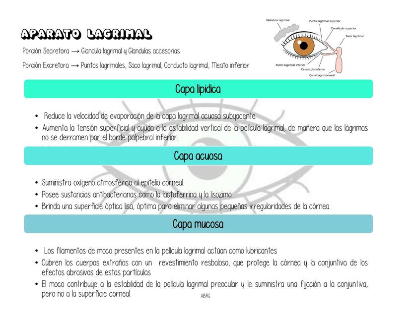 APARATO LAGRIMAL