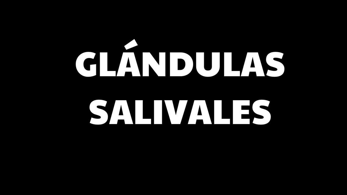 Glándulas Salivales