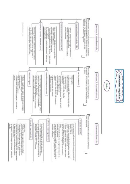 Cardiopatias congénitas (Robbins)