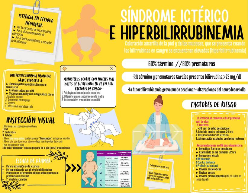 SÍNDROME ICTÉRICO E HIPERBILIRRUBINEMIA