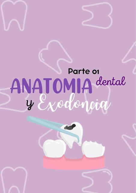 Anatomia dental y Exodoncia pt1