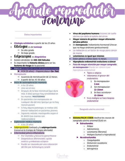 GINECOLOGÍA: Aparato reproductor femenino