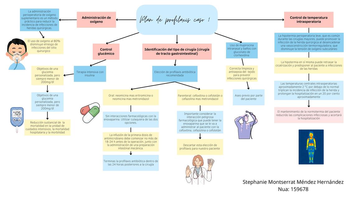 Plan profilaxis e ISQ