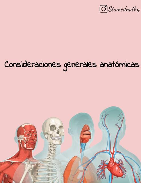 Consideraciones anatómicas generales