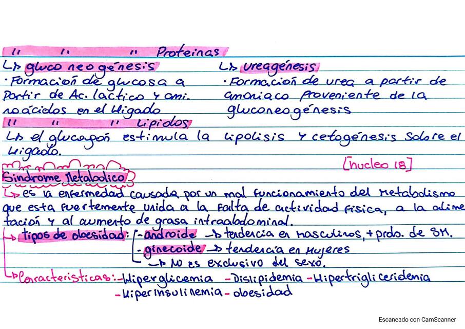 Núcleo 18 arti 3 Sindrome metabolico