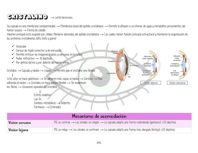 CRISTALINO APUNTES