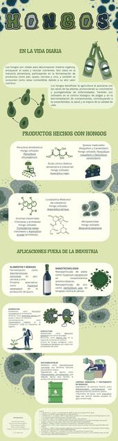 Infografia hongos