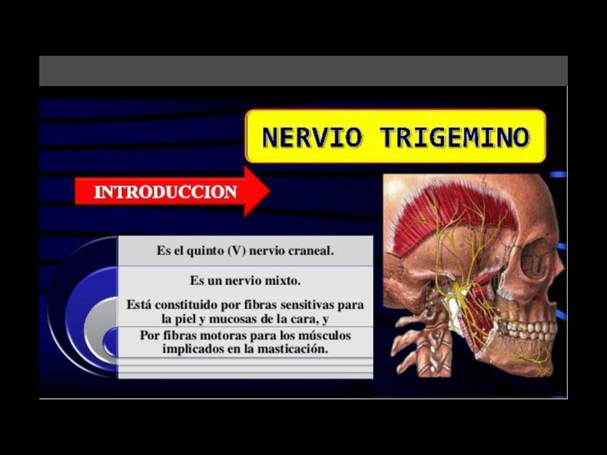 Par Craneal V Nervio Trigémino Apuntes y Resúmenes médicos uDocz