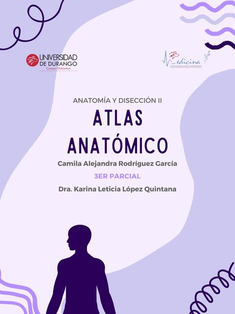 ATLAS ANATÓMICO 