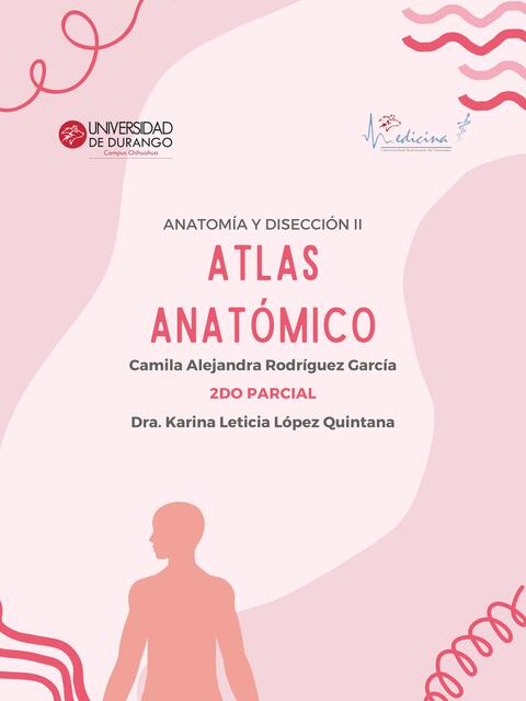 Atlas ANATÓMICO