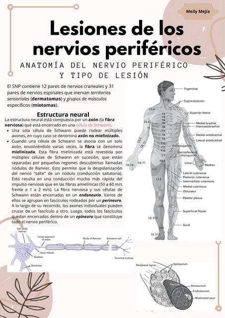 Lesiones de nervios periféricos