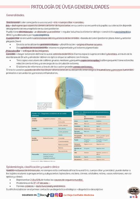 PATOLOGIA DE ÚVEA GENERALIDADES