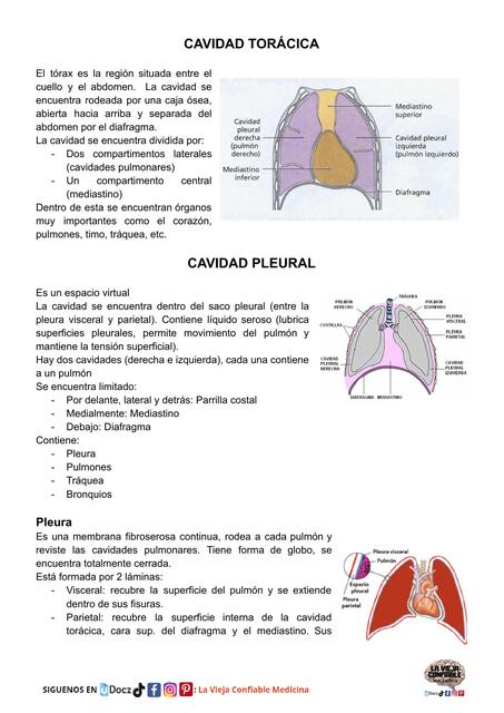 ANATOMIA CAVIDAD TORÁCICA Y PLEURAL