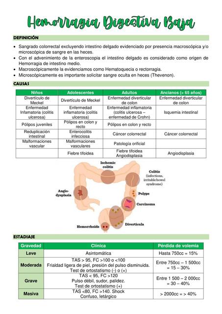 Hemorragia Digestiva Baja