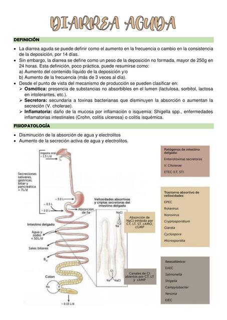 Diarrea Aguda