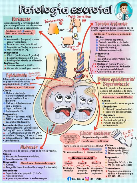 Patología escrotal