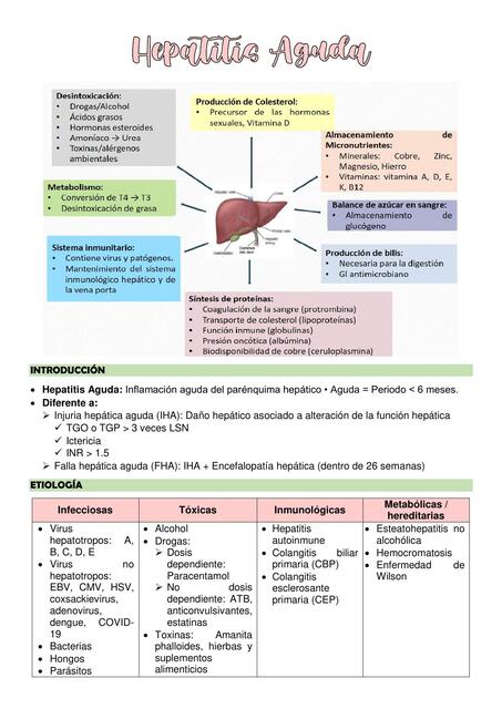 Hepatitis Aguda