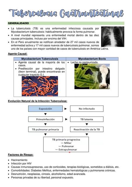 Tuberculosis Gastrointestinal