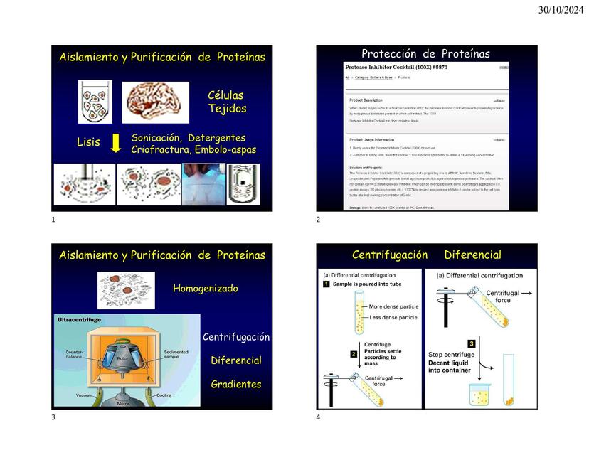 Técnicas de Proteínas