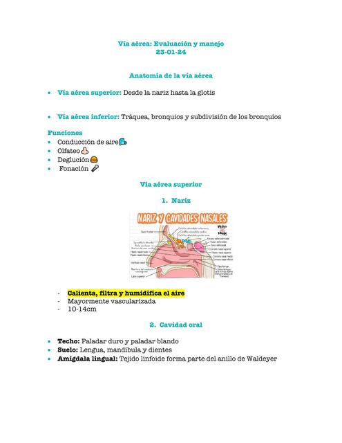 Vía aérea Evaluación y manejo