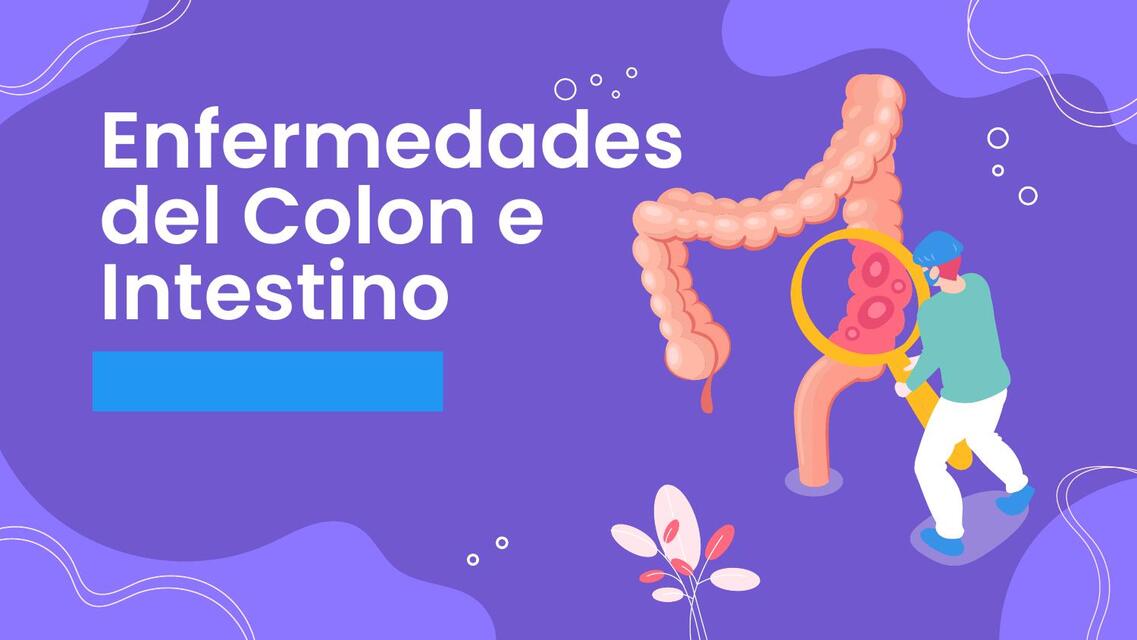 Colon e intestino