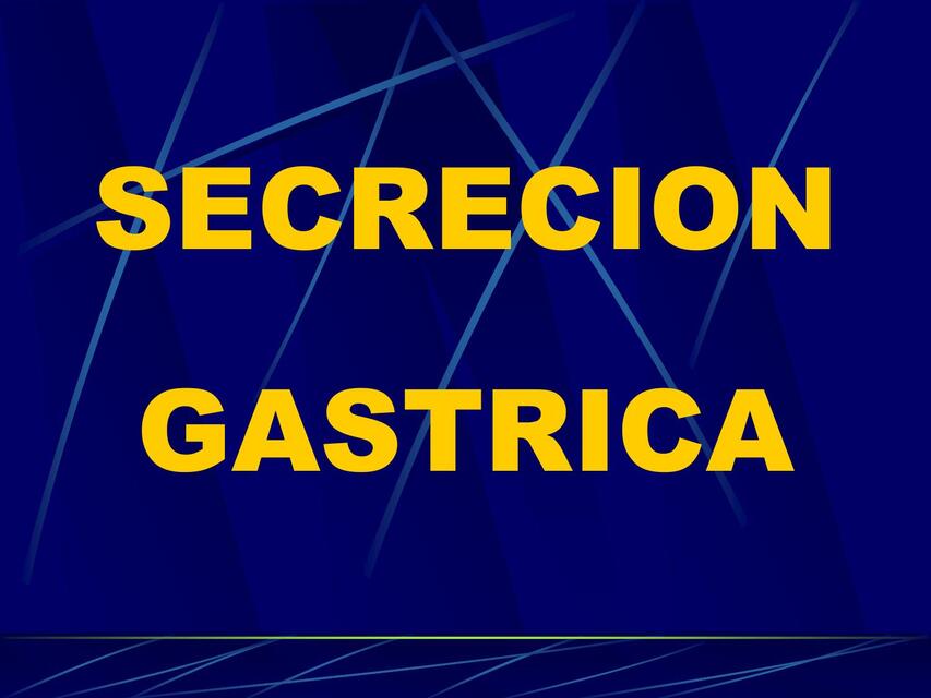 Secreción Gástrica - Fisiología