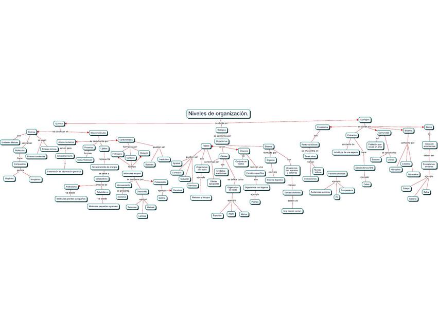 Niveles de organización 