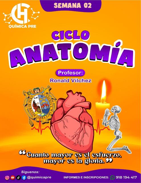 SEMANA 02 SISTEMA RESPIRATORIO ANATOMIA