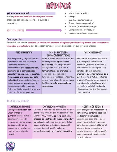 Conceptos generales de heridas