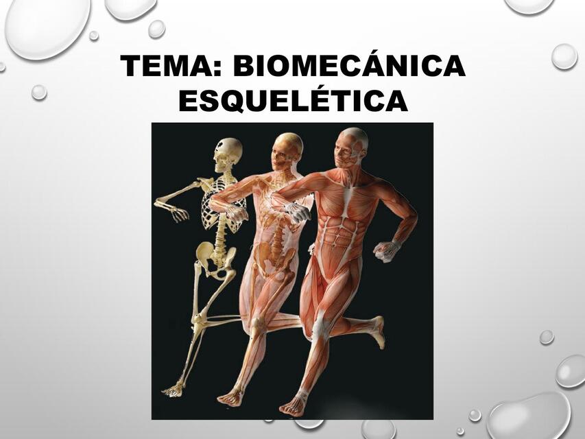 BIOMECÁNICA ESQUELETICA