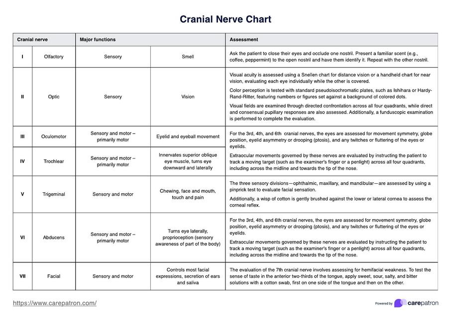 Cranial nerve table 1 | Paulina Rambal | uDocz