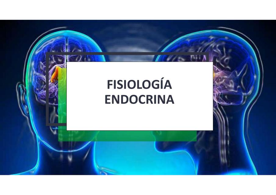 Fisiología Endocrina