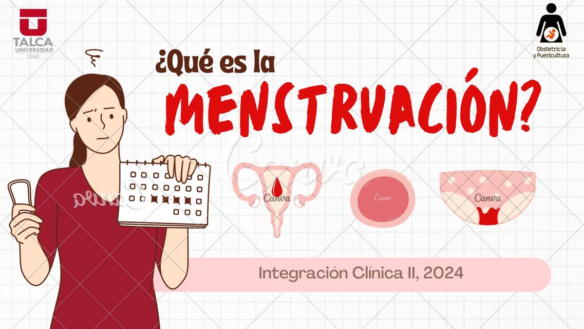 Resumen menstruación proyecto educativo