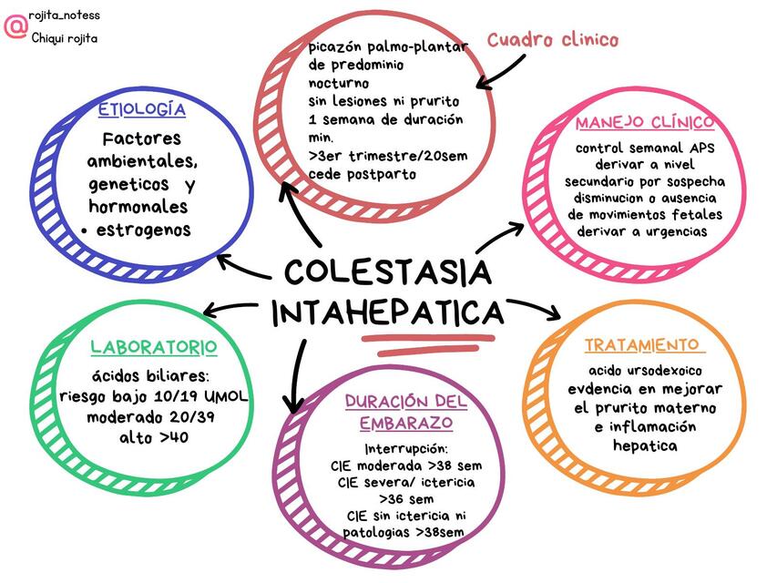 Gráfico Mapa Mental resumen colestasia intrahepatica