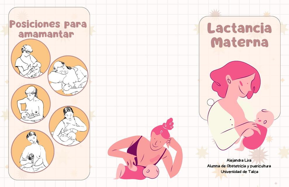 Folleto tríptico Lactancia materna desde el puerperio obstetricia educación