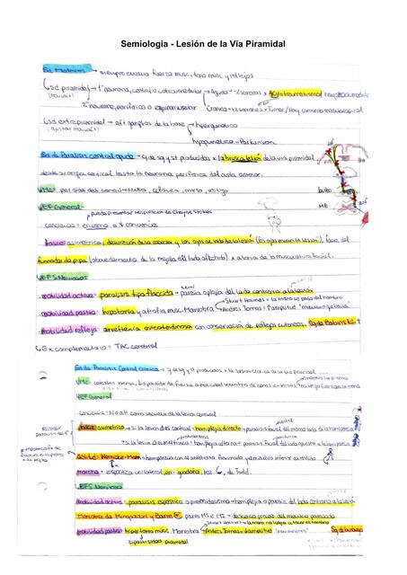 Semiologia Lesion de la Via Piramidal