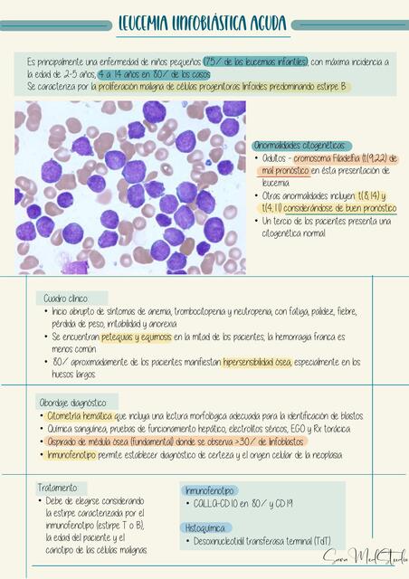 Leucemia linfoblástica aguda