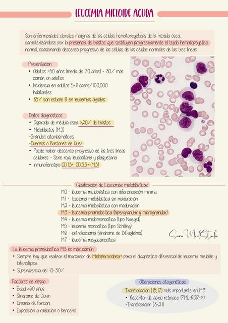 Leucemia mieloide aguda