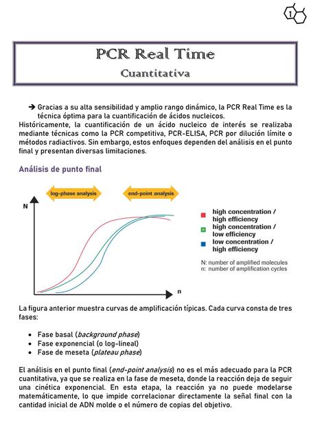 PCR Real Time