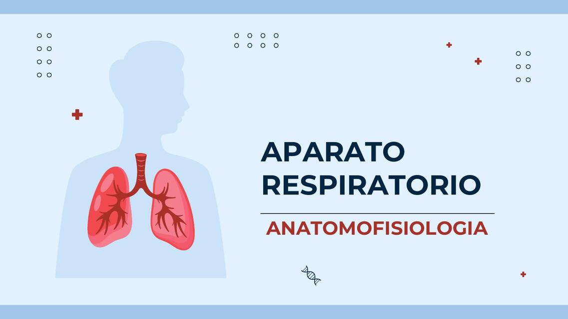 Aparato respiratorio