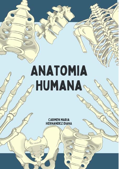 Manual de Anatomía Humana