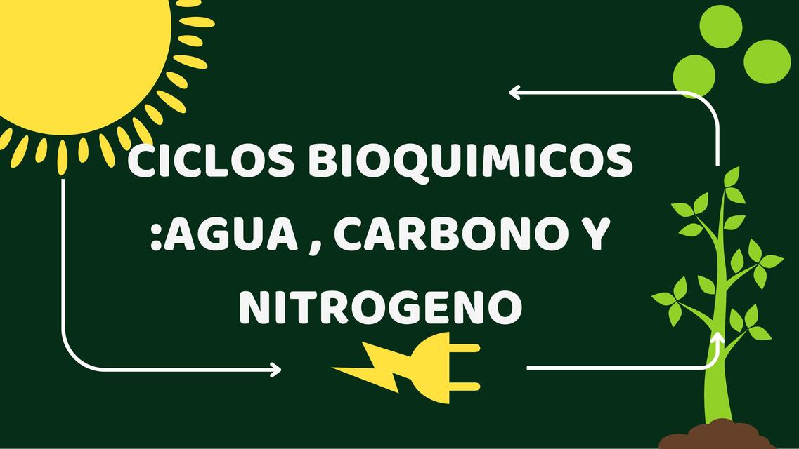 Ciclos bioquímicos (AGUA, NITROGENO , CARBONO)